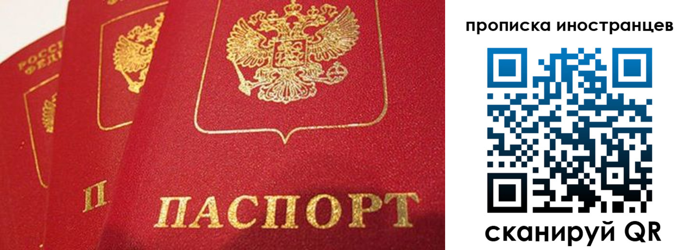 прописка поиск в Камчатской области